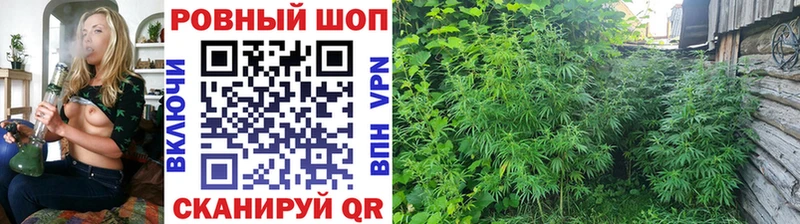 Как найти наркотики Почеп Марихуана Лсд 25 Гашиш Меф Псилоцибиновые грибы