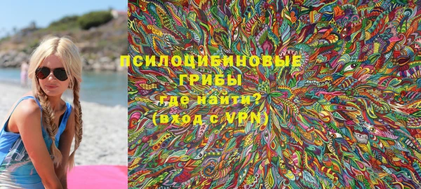 молекула духа Алексеевка