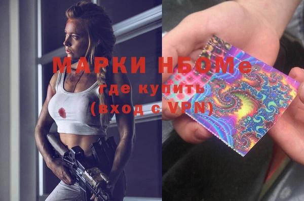 хмурый Алексин