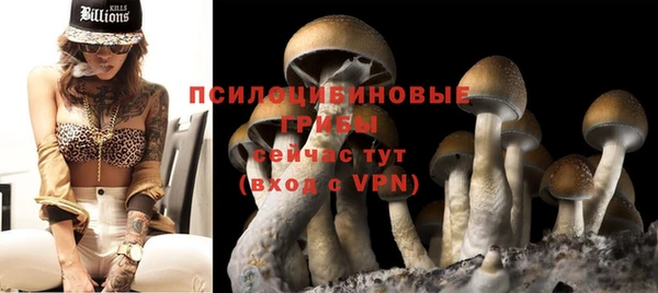эйфоретик Абинск
