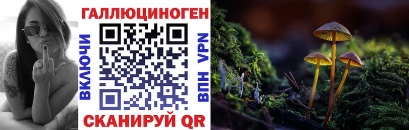 Галлюциногенные грибы прущие грибы Почеп
